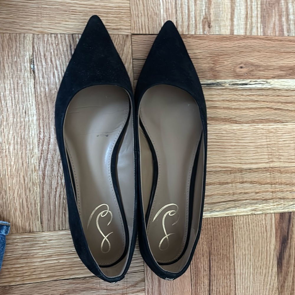 Suede Sam Edelman Pointed Toe Flats